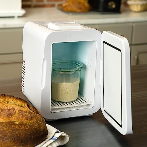 Brod Taylor SH 100 Sourdough Home