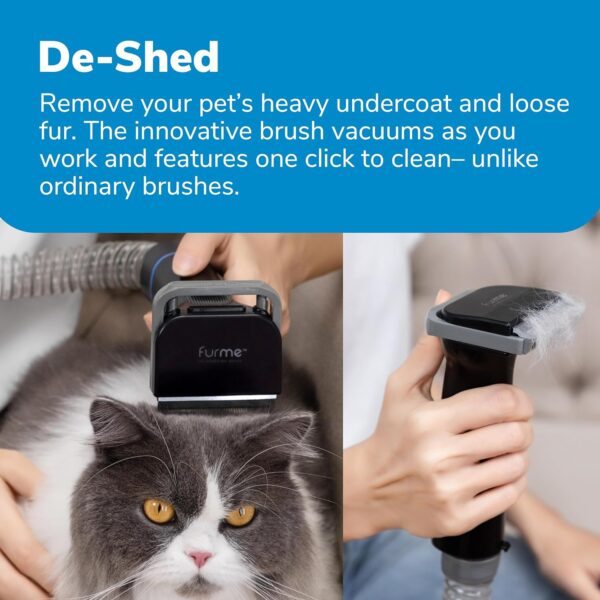 02f6b60bd9e04d2c81b9a6a5ebda406e Professional Plus Pet Grooming Vacuum Kit, 5 Pet Grooming Tools, 2L Canister, Works for All Dogs, Cats, and Pet Fur