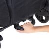 Baby Trend Expedition 2 in 1 Push or Pull Stroller Wagon w/ Canopy, Blue