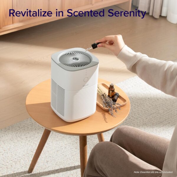 09c68b13026642c7a1a71342ec498c50 Air Purifier for Home Allergies Pets Hair in Bedroom & Standing Fan for Bedroom, 82ft CirculAir 120° Oscillating Fan