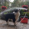Portable Outdoor Shower System, 6.6-Gallon, High Pressure, Battery Powered, 12000mAh, with Pump & Garden Hose Nozzles, Ideal for Camping