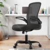 Mimoglad Ergonomic Office Chair with Lumbar Support