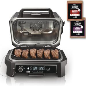 7-in-1 Grill & Smoker with Thermometer, Air Fryer, BBQ, Bake, Roast, Broil - Portable Electric Outdoor Grill, Grey