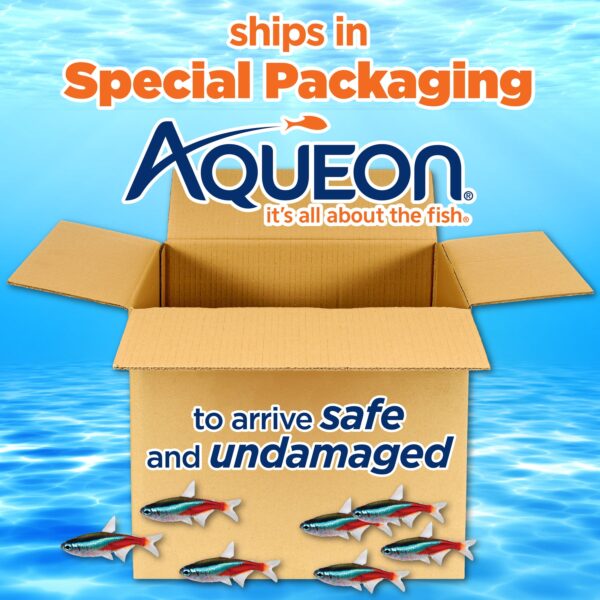 13106dba1e0e42efa27fd5d55374e1df Aqueon Aquarium Starter Kit 10 Gallon Glass Fish Tank LED Lighting Filter and Heater