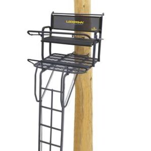 RIVERS EDGE Lockdown 21 ft. 2-Man Ladder Treestand LD202E