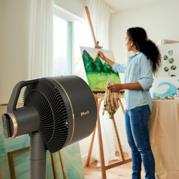 1bf299694c2242d78f34471382a00331 Shark - FlexBreeze Outdoor & Indoor Fan with InstaCool Misting Attachment, Cordless & Corded, Pedestal to Tabletop - Black