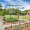 Lalahoni Garden Arch Trellis for Climbing Plants Outdoor