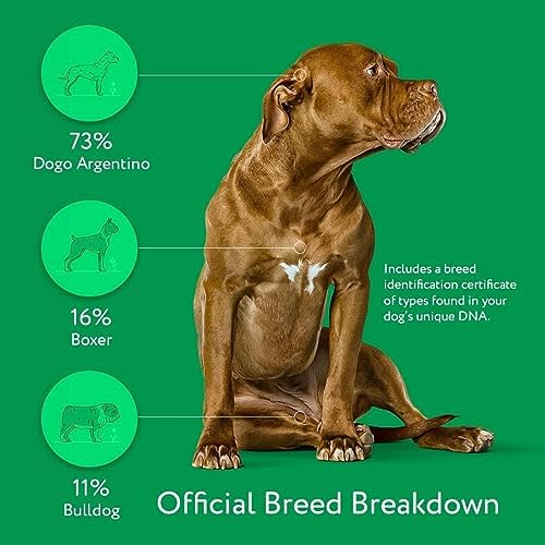 3075addf94754025918590465d3e2457 Dna My Dog Essential Test – Breed ID Test Mixed Breed Identification Personality Traits for Puppies to Adult Dogs Non-Invasive Cheek Swab