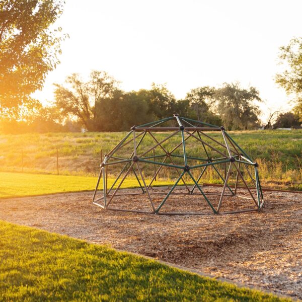 Lifetime Children's Outdoor 5 ft. H x 10 ft. W Dome Climber, Green and Brown (90136)