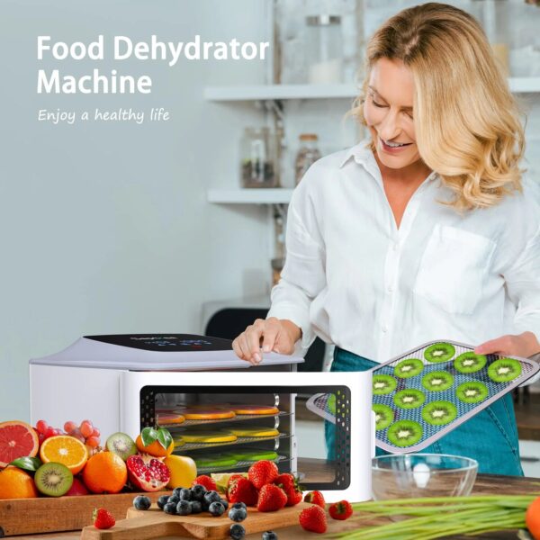 4cd15a6721eb49c4a0d30db775501d8a Septree 4 Stainless Steel Trays Food Dryer Machine