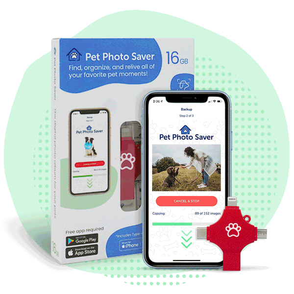 5-Product-Imagery-_transparent_-1_grande Digital Pet Photo Album - Pet Photo Saver 16GB