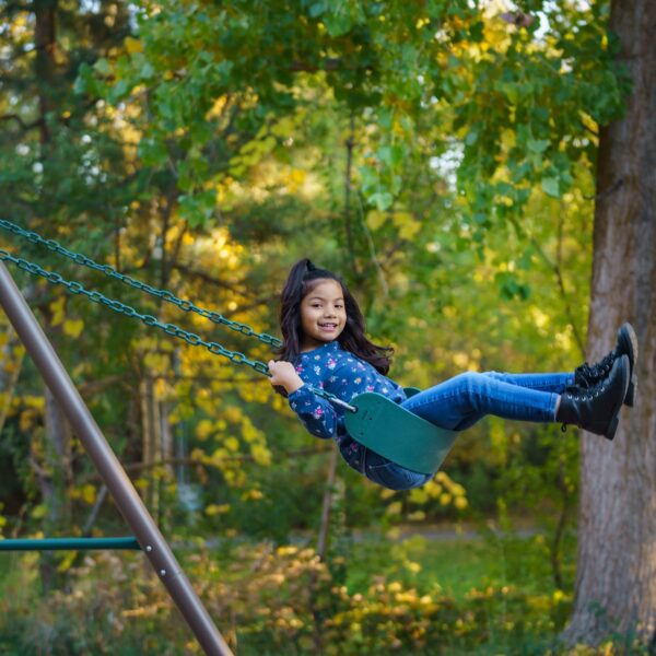 Lifetime Metal Swing Set (Earthtone), 91137