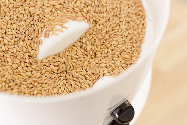 69540cf07a524094a579aab45d56ad59 Classic High-Speed Grain/Flour Mill