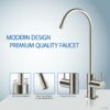 APEC Top Tier Alkaline Mineral Ph+ Ultra Safe Reverse Osmosis Drinking Water Filter System (ESSENCE ROES-PH75)