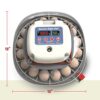 Nurture Right Egg Incubator for Hatching Chicks - Holds 22 Eggs