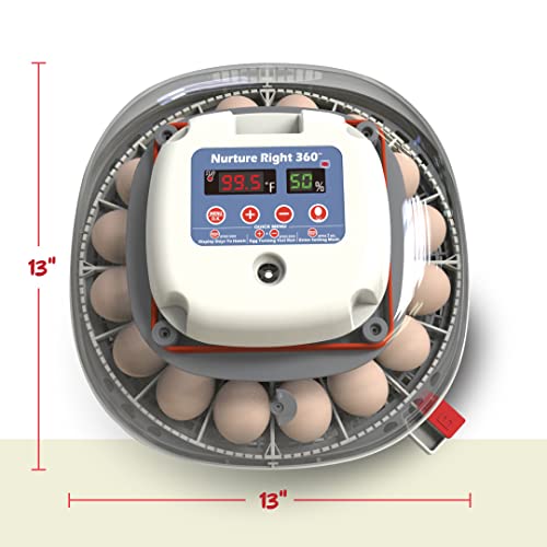 75a35c58acad46fd8dc96eb5ba7bf724 Nurture Right Egg Incubator for Hatching Chicks - Holds 22 Eggs