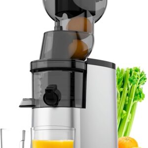 Masticating Juicer, 300W Professional Slow Juicer with 3.5-inch Large Feed Chute