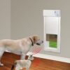 Power Pet Large Electronic Pet Door PX-2