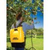 Bak-Pak Sprayer