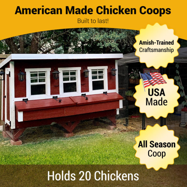7ec86d9785bb4a6fbbda531fd3bba67b OverEZ XL Chicken Coop - Up to 20 Chickens