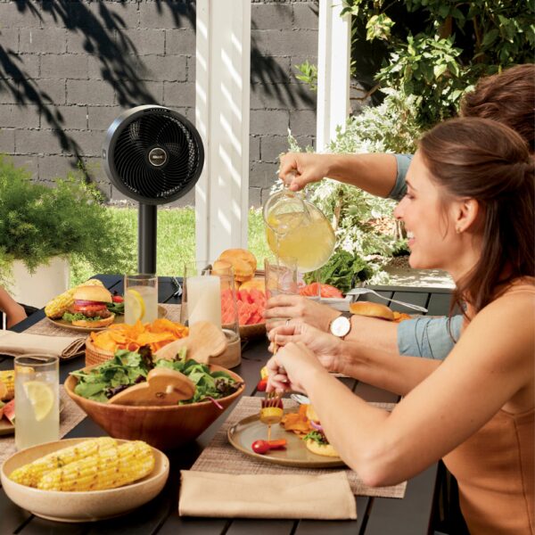 7f1057b906ea4ef6b025b7ad0e5236df Shark - FlexBreeze Outdoor & Indoor Fan with InstaCool Misting Attachment, Cordless & Corded, Pedestal to Tabletop - Black