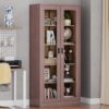 AFAIF Glass Display Cabinet Curio Cabinet with Glass Door