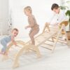 5 in 1 Pikler Triangle Set, Baby Climbing Toy Indoor Playground, Kids Jungle Gym