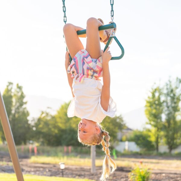 Lifetime Metal Swing Set (Earthtone), 91137