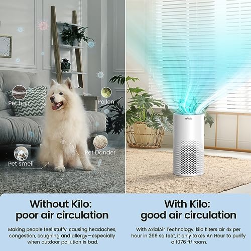 8f13f36d231d44c7a776f2ef8d32dc23 Afloia Air Purifiers for Home Large Room Up to 1076 Ft², H13 True HEPA Air Purifiers for Bedroom