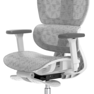 Ergonomic Office Chair – High Back Mesh Desk Chair with 3D Adjustable Armrests, Wheels, for Home and Office (Black)