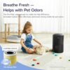 Air Purifier for Home Allergies Pets Hair in Bedroom & Standing Fan for Bedroom, 82ft CirculAir 120° Oscillating Fan