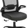 Mimoglad Ergonomic Office Chair with Lumbar Support