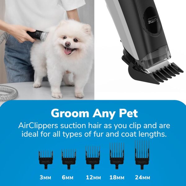 a275aff250e448bd9422ede6ef9711c4 Professional Plus Pet Grooming Vacuum Kit, 5 Pet Grooming Tools, 2L Canister, Works for All Dogs, Cats, and Pet Fur