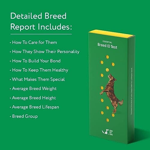 a2b274f8b4e949189761ad4ff45122ea Dna My Dog Essential Test – Breed ID Test Mixed Breed Identification Personality Traits for Puppies to Adult Dogs Non-Invasive Cheek Swab