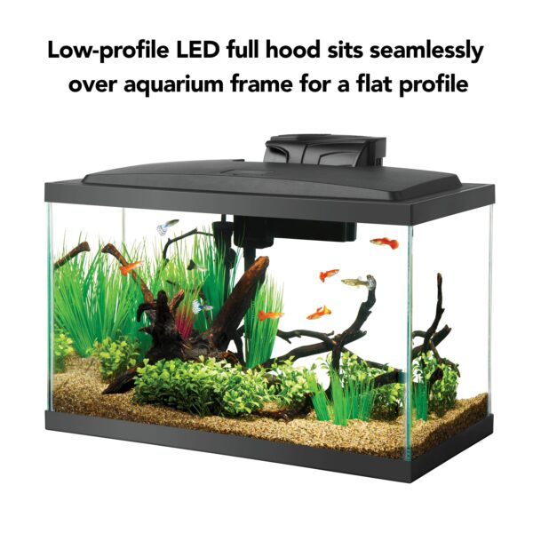 a72066439f004739b5eaad9f4ace5086 Aqueon Aquarium Starter Kit 10 Gallon Glass Fish Tank LED Lighting Filter and Heater