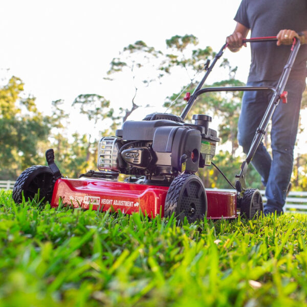 a8e23b2bfd8e4bd9b8869a0651decf7e 20-Inch 125Cc Gas Push Mower with Briggs & Stratton Engine