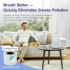 Air Purifier for Home Allergies Pets Hair in Bedroom & Standing Fan for Bedroom, 82ft CirculAir 120° Oscillating Fan