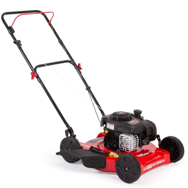 ba1c6760e7f24e9da0991d37a9602383 20-Inch 125Cc Gas Push Mower with Briggs & Stratton Engine