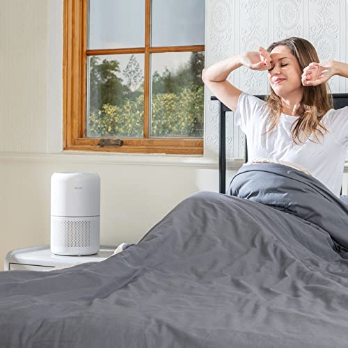 ba742eb8b21a45bc89186800ff18b6cb LEVOIT Air Purifier for Home Allergies Pets Hair in Bedroom, Covers Up to 1095 Sq.Ft