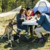 Stansport Heavy-Duty Picnic Table and Bench Set