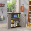 Suncast 2-Shelf Resin Base Cabinet, Platinum Metallic