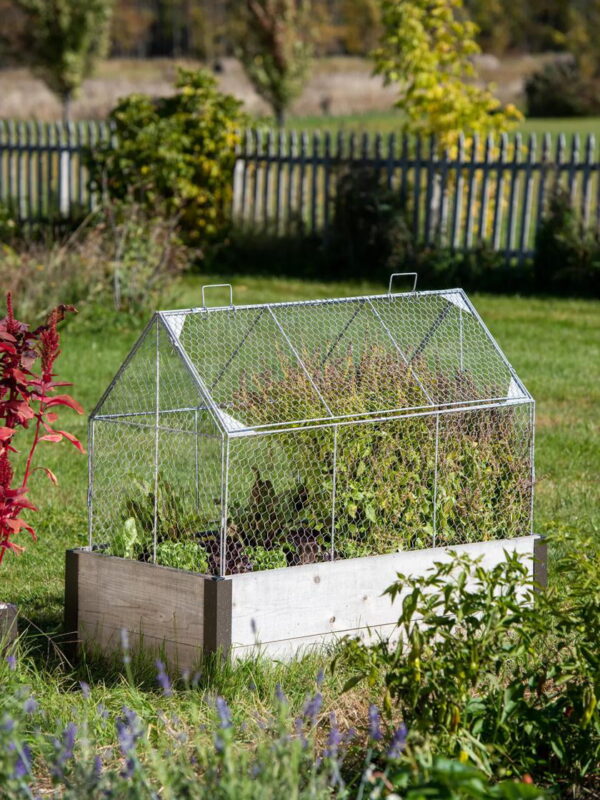 bf659bb5301a4427a124eab23bdb62c4 Chicken Wire Crop Coop