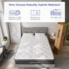 Mubulily 10 Inch Hybrid Mattress in a Box with Gel Memory Foam