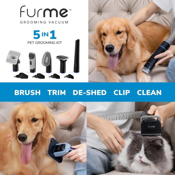 ccf0e43c51534f21b037525025e9b39f Professional Plus Pet Grooming Vacuum Kit, 5 Pet Grooming Tools, 2L Canister, Works for All Dogs, Cats, and Pet Fur