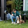 Shark - FlexBreeze Outdoor & Indoor Fan with InstaCool Misting Attachment, Cordless & Corded, Pedestal to Tabletop - Black