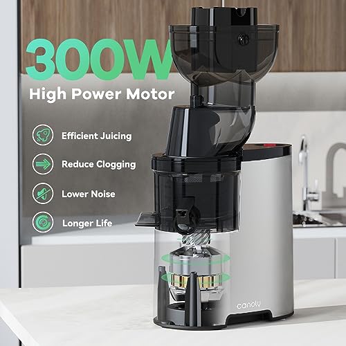 d4a01ecedbd04b37be1cdf8d6765b4b4 Masticating Juicer, 300W Professional Slow Juicer with 3.5-inch Large Feed Chute