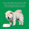Dna My Dog Essential Test – Breed ID Test Mixed Breed Identification Personality Traits for Puppies to Adult Dogs Non-Invasive Cheek Swab