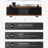 ANGELS HORN Vinyl Record Player Built in Speakers