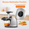 Masticating Juicer Machines, AMZCHEF Slow Cold Press Juicer with Reverse Function