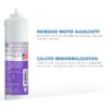APEC Top Tier Alkaline Mineral Ph+ Ultra Safe Reverse Osmosis Drinking Water Filter System (ESSENCE ROES-PH75)